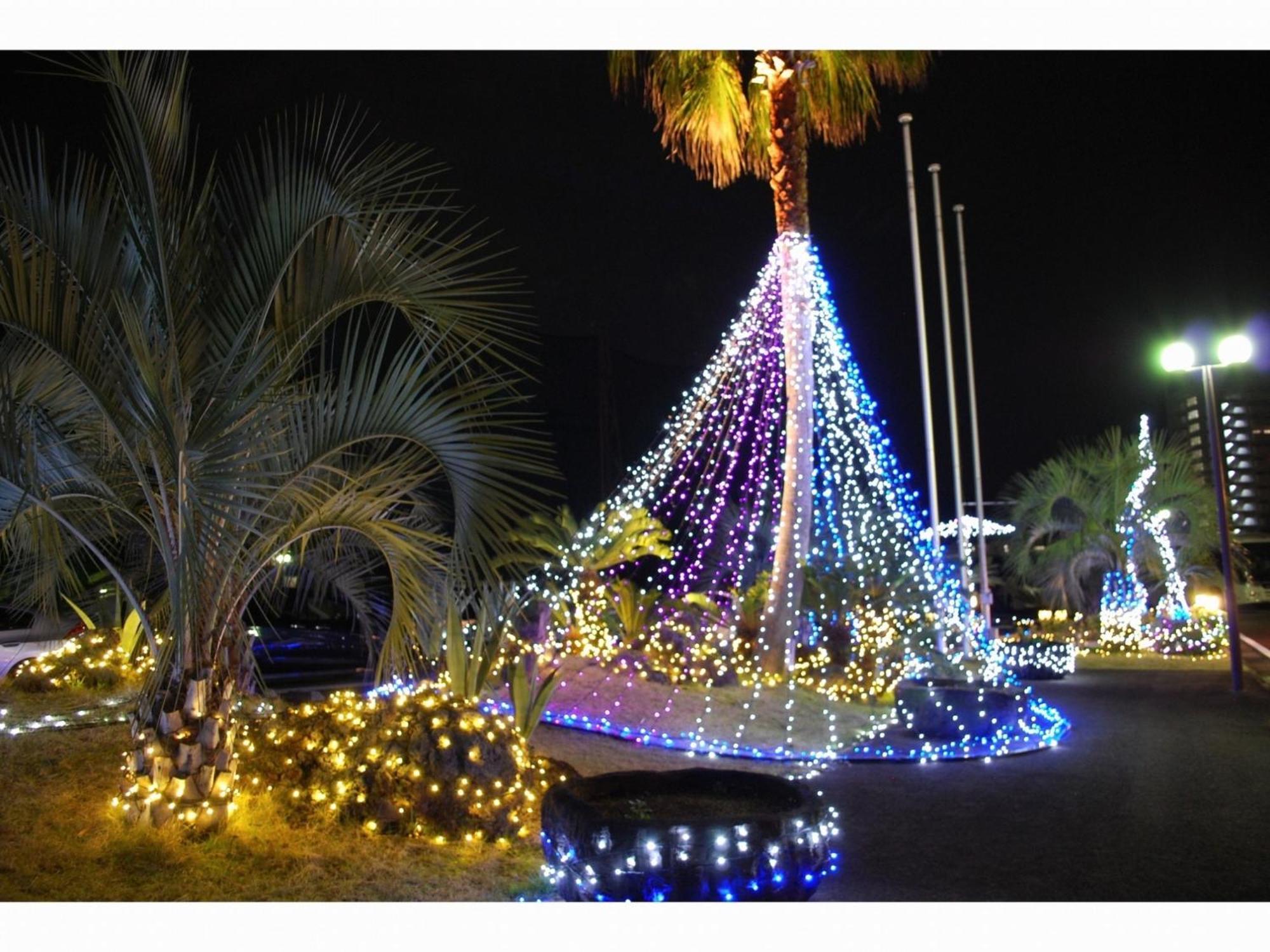 The Paradise Garden ساسيبو المظهر الخارجي الصورة