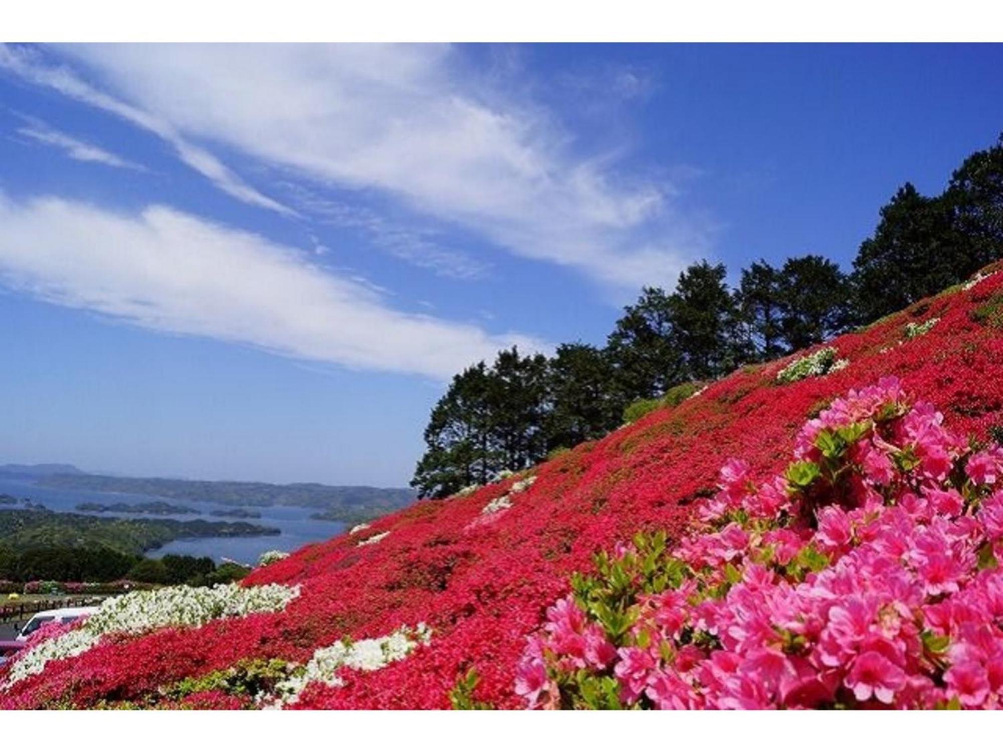 The Paradise Garden ساسيبو المظهر الخارجي الصورة